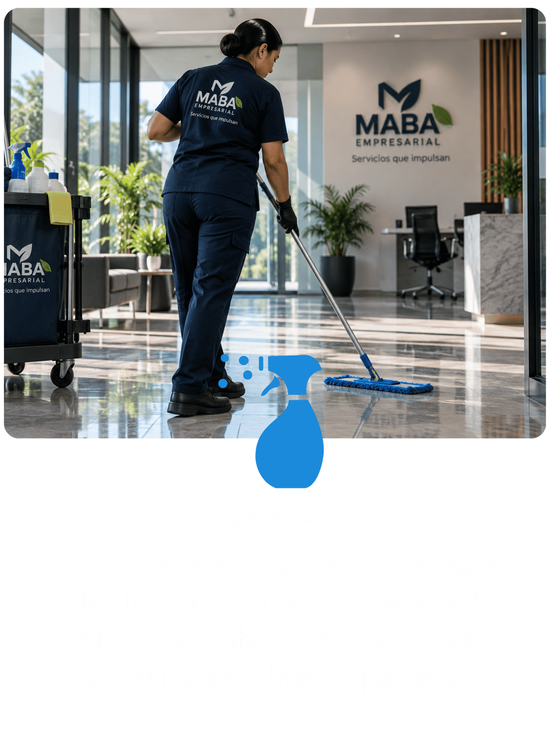 limpieza limpieza