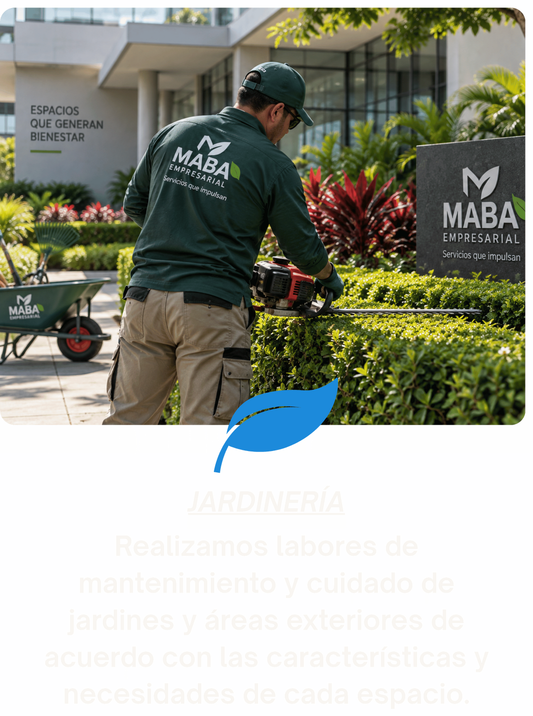 Jardineria Jardineria
